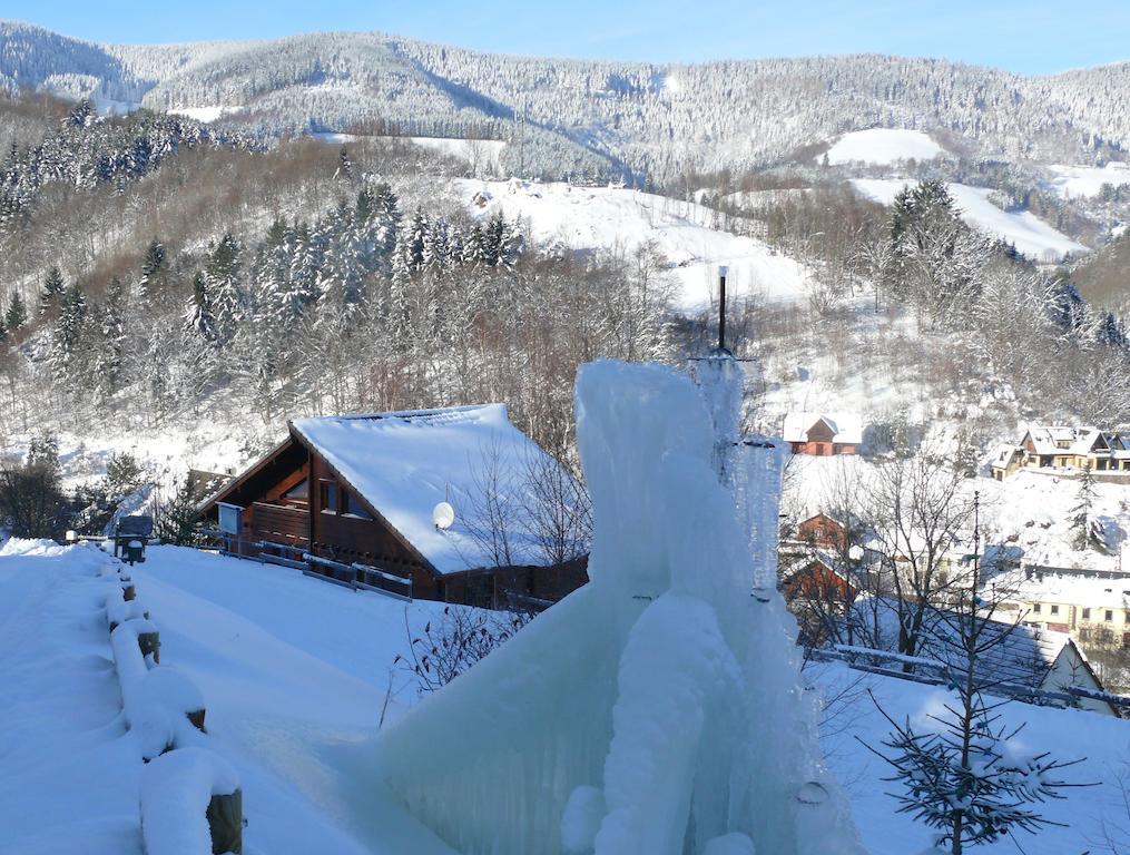 Les Myrtilles Le Bonhomme Pokój zdjęcie
